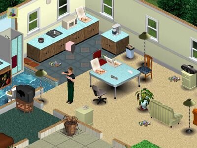 The Sims Wide Image